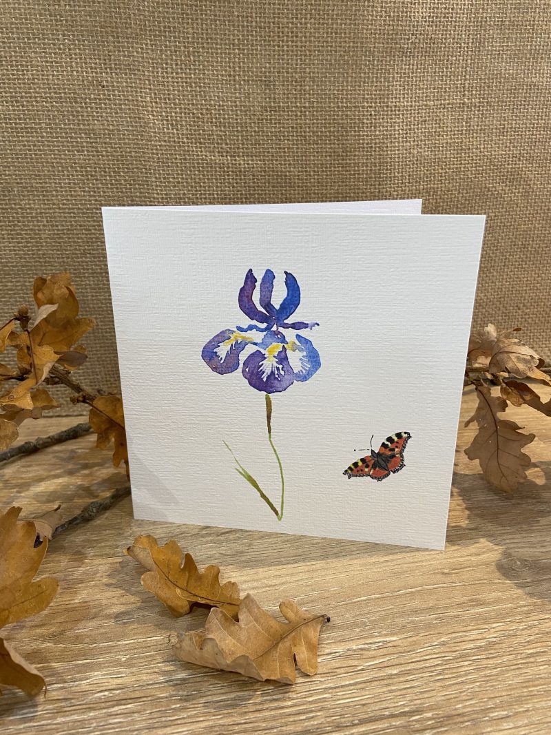 Watercolour Iris and Butterfly
