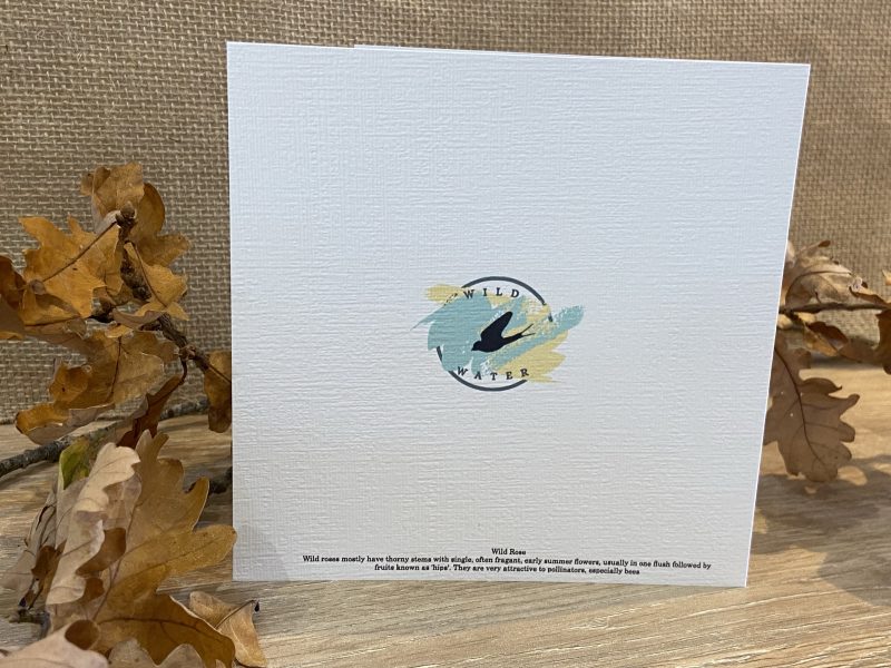 Watercolour Wild Rose Card