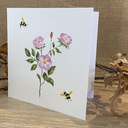 Watercolour Wild Rose Card