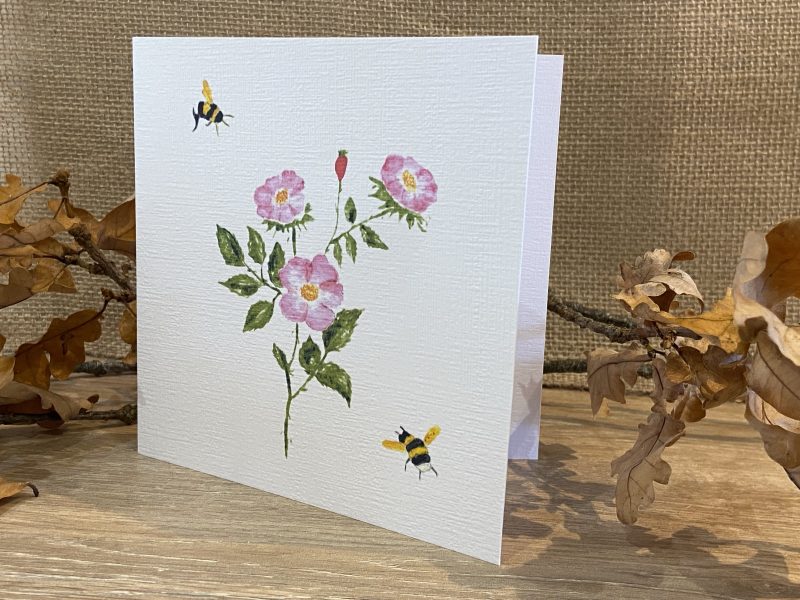 Watercolour Wild Rose Card