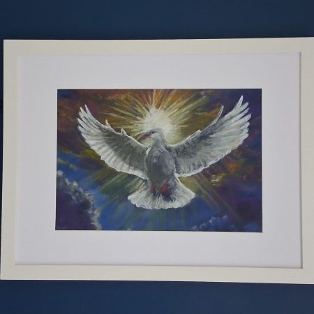 Pastel Dove Picture, Framed 44 x 34cm