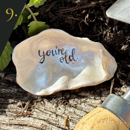 SHUCKED's oyster shell edition no.9, with message "you're old”